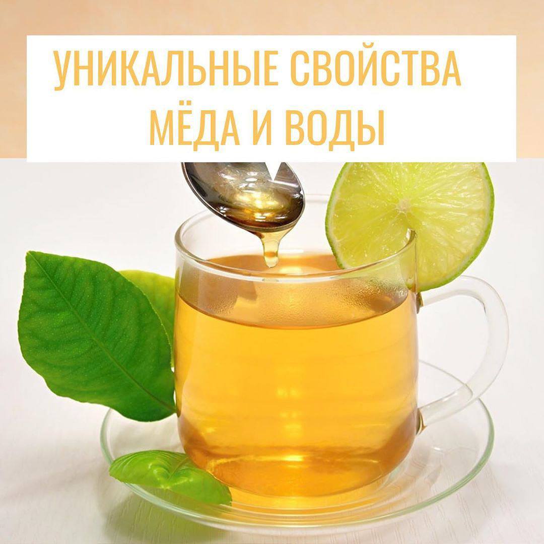 Медовая вода отзывы. Сыта напиток. Honey напиток.