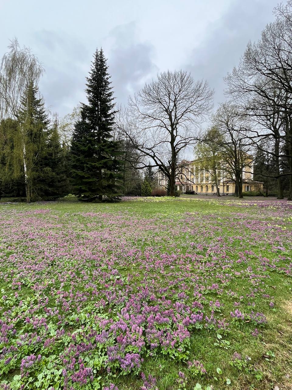 Ботанический сад петра великого фото