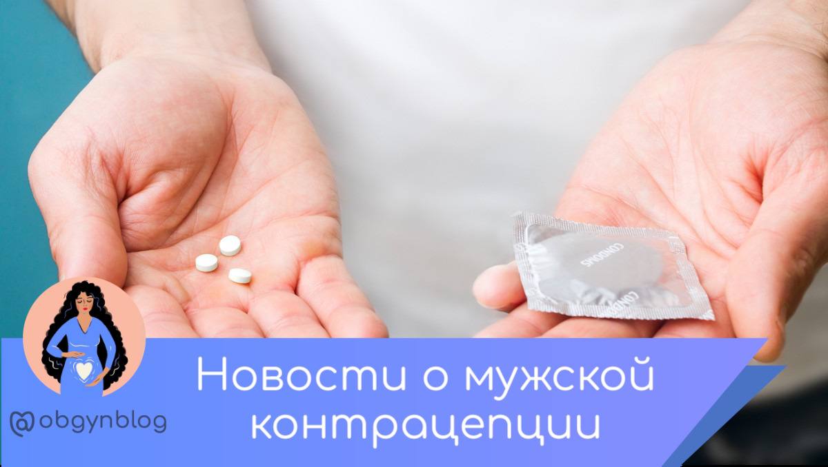 Блог акушера читать. Блог акушера читать