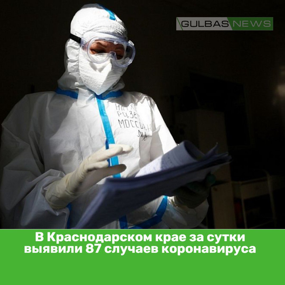 вирус в краснодарском крае сейчас