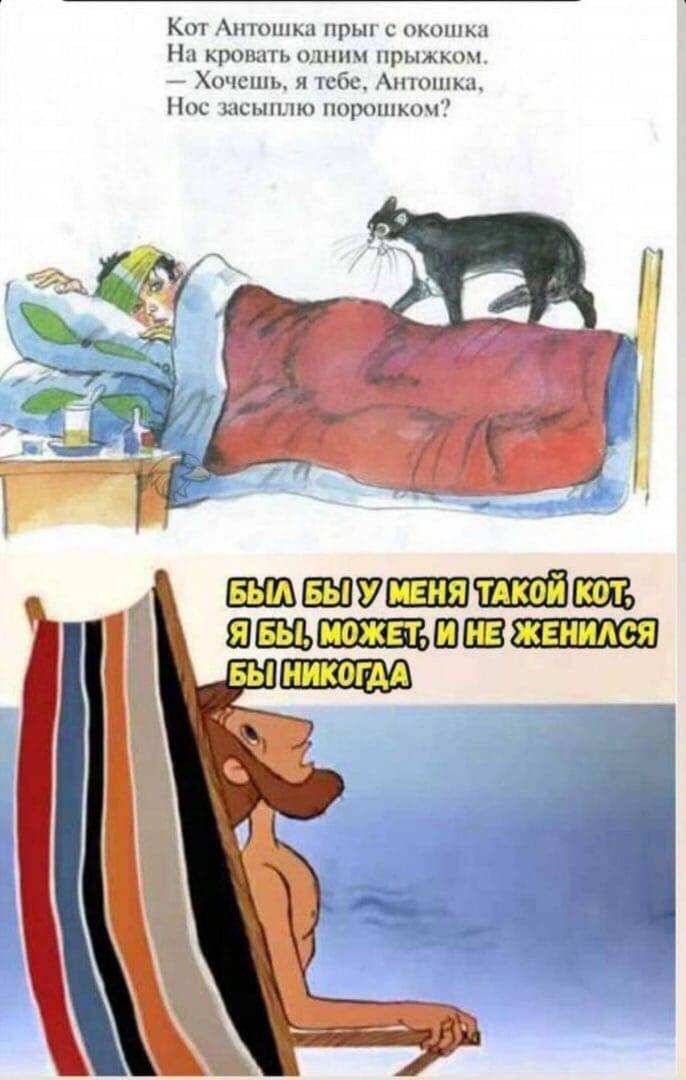 Вот если бы у меня такое было. Вот если бы у меня такое было