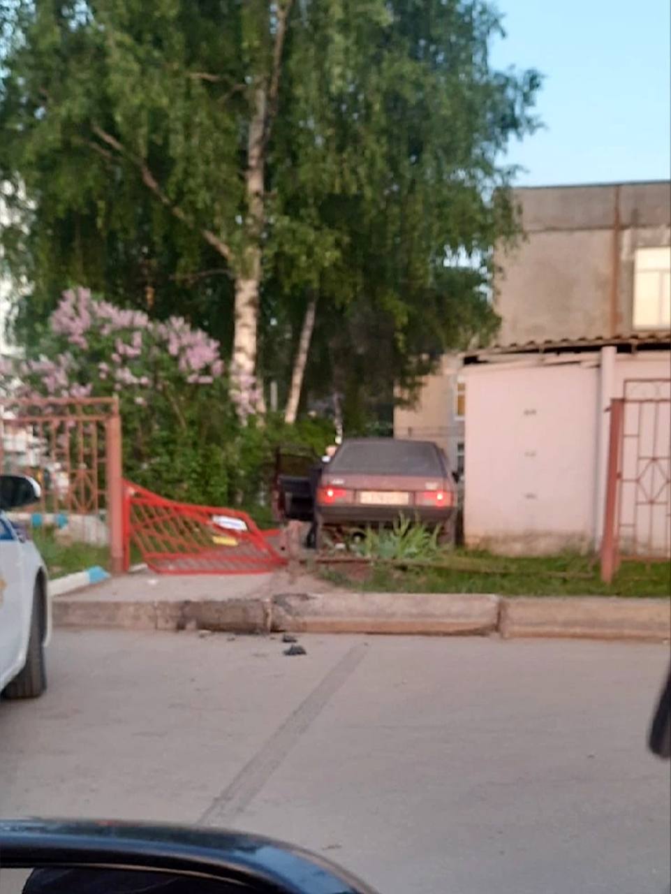 Фото Пьяный Заяц