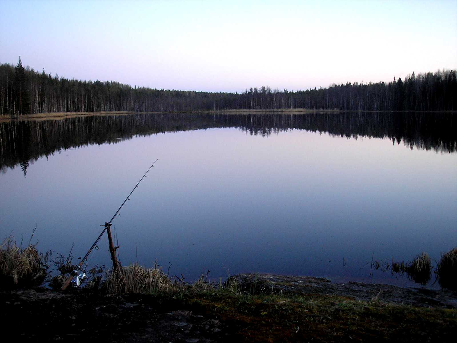 Озеро маян рыбалка. Сарженское озеро рыбалка. Сорочье озеро Пушкинский район рыбалка. Рыбалка в мае. Майская рыбалка.