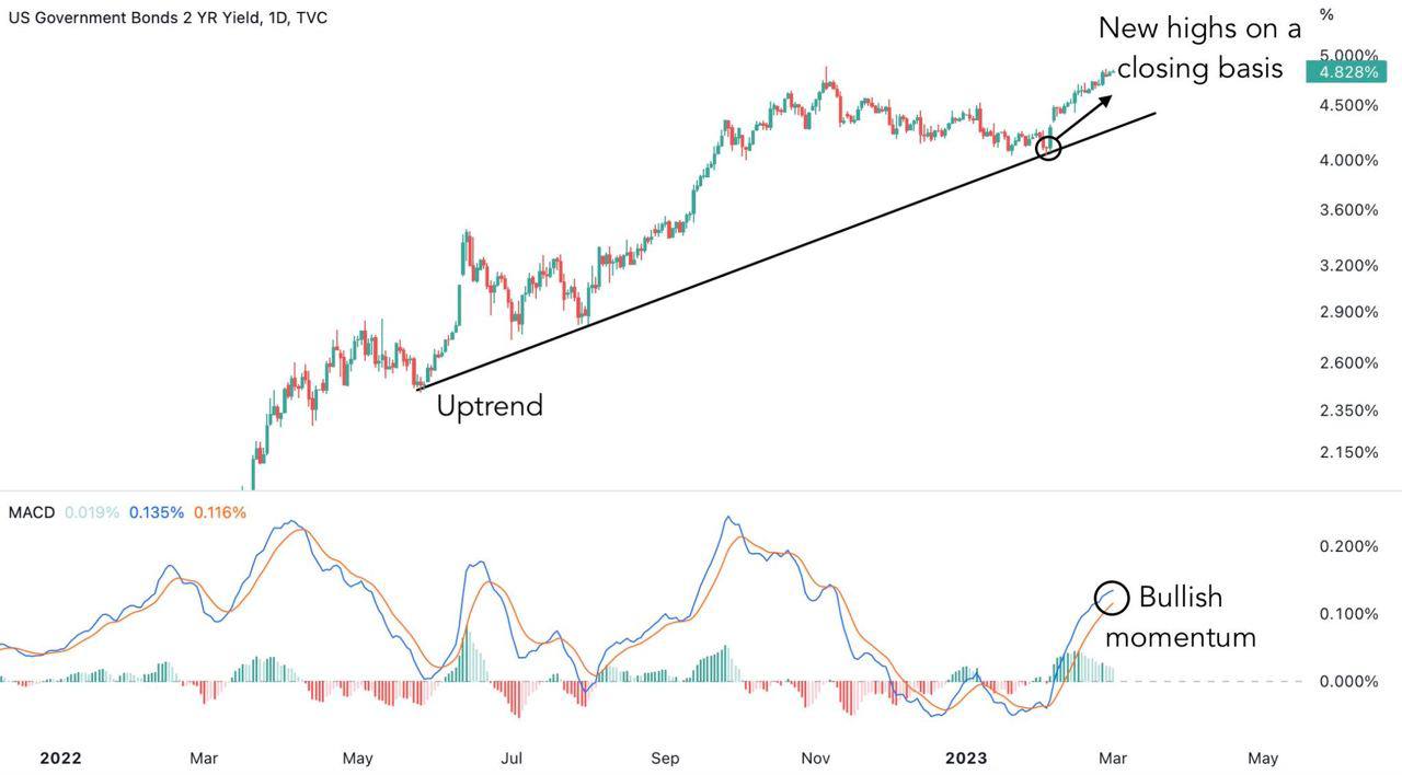 бкс российские акции. акции американских компаний. инвестировать в облигации. график доходности. доходность акций.