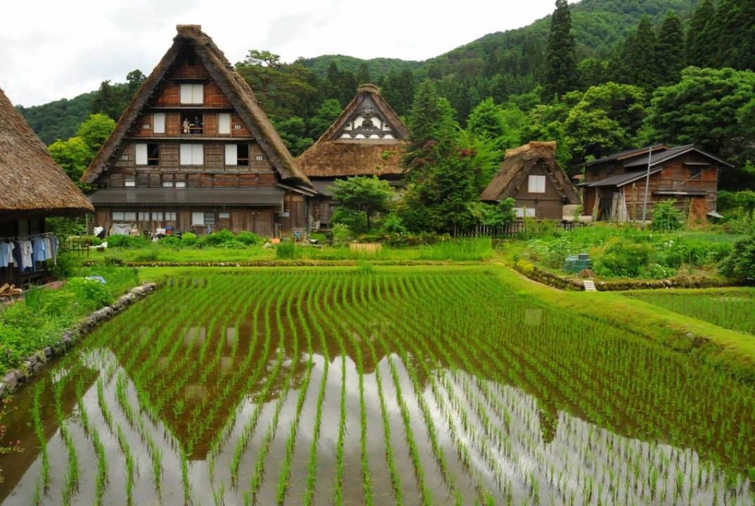 Страна целый дом. Деревня Сиракава в Японии. Гассё-дзукури Япония, деревня Сиракава. Гассё-дзукури Гокаяма. Сиракава-го и Гокаяма.