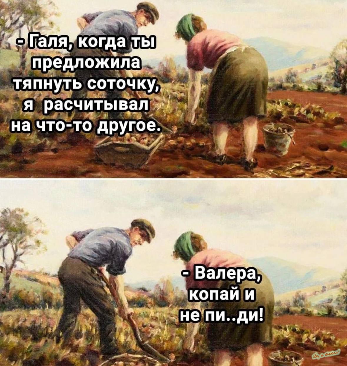 По соточке картинки