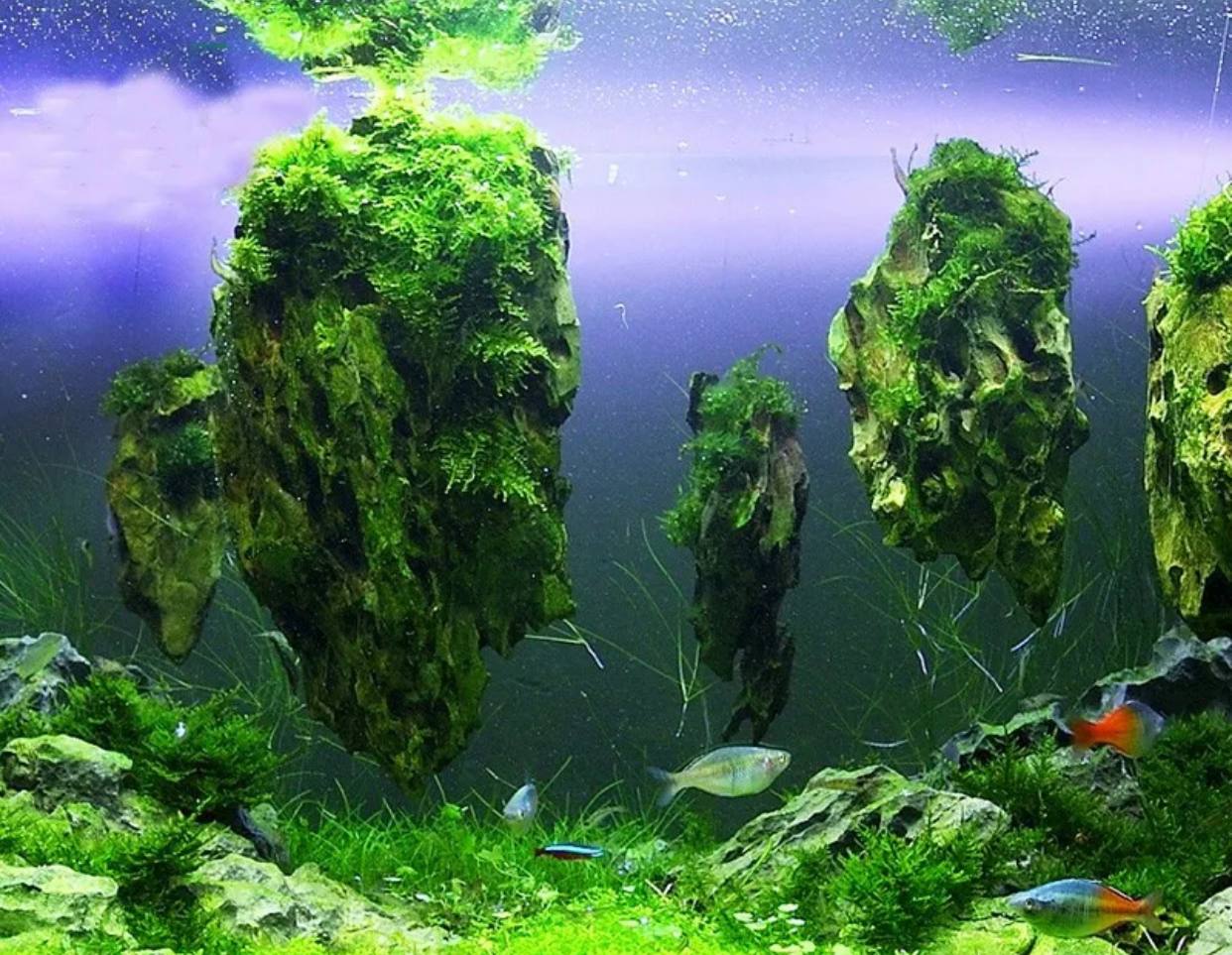 парящий остров в аквариуме