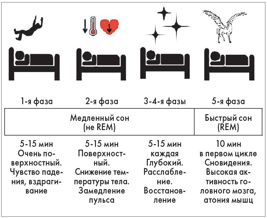 Стадии сна человека по времени таблица