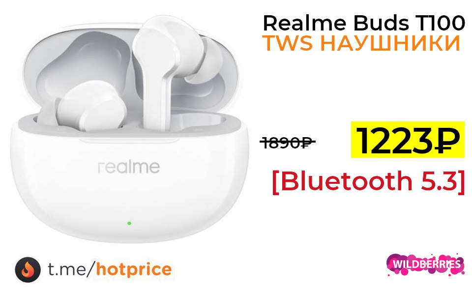 Realme Buds t300 "Totoro".