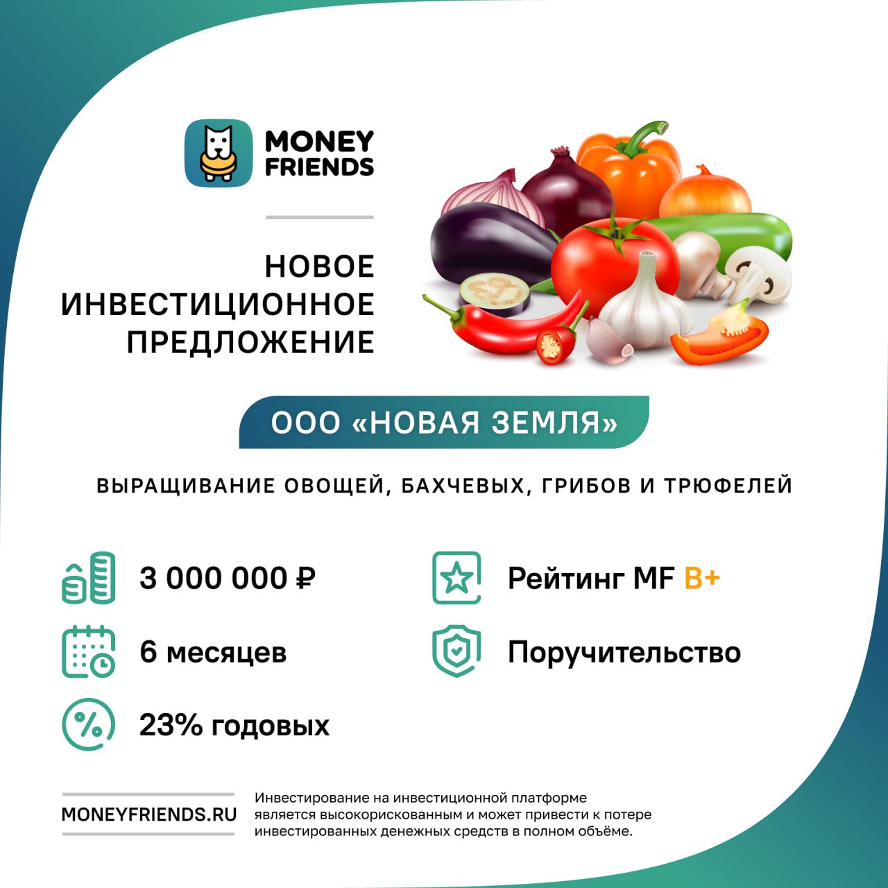 Мани френдс. Инвестиционное предложение. Money friends.