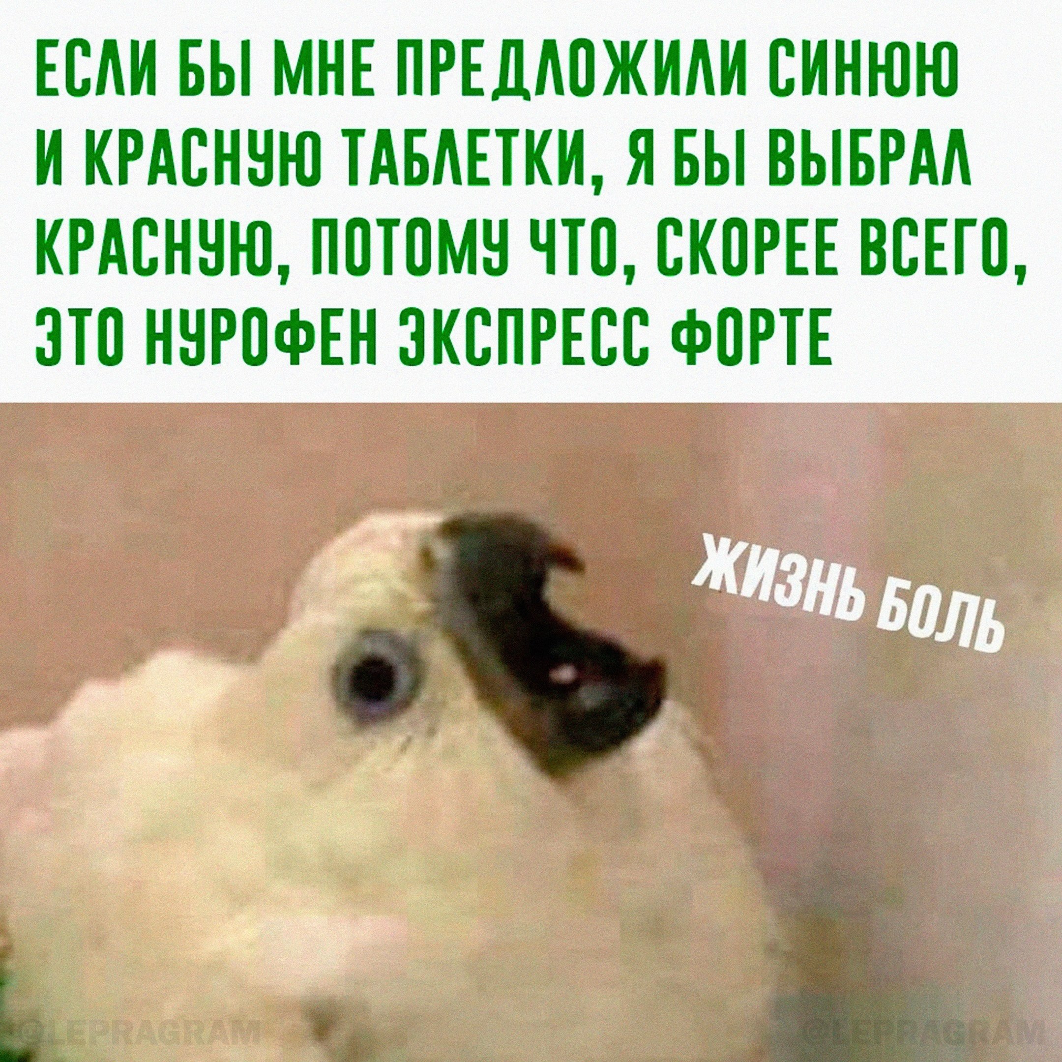 Скорее всего что нет. Лишь потеряв все мы обретаем свободу мем. Банк вас много а я одна. Скорее всего да чем нет. Если бы мне предложили синюю или красную таблетку.