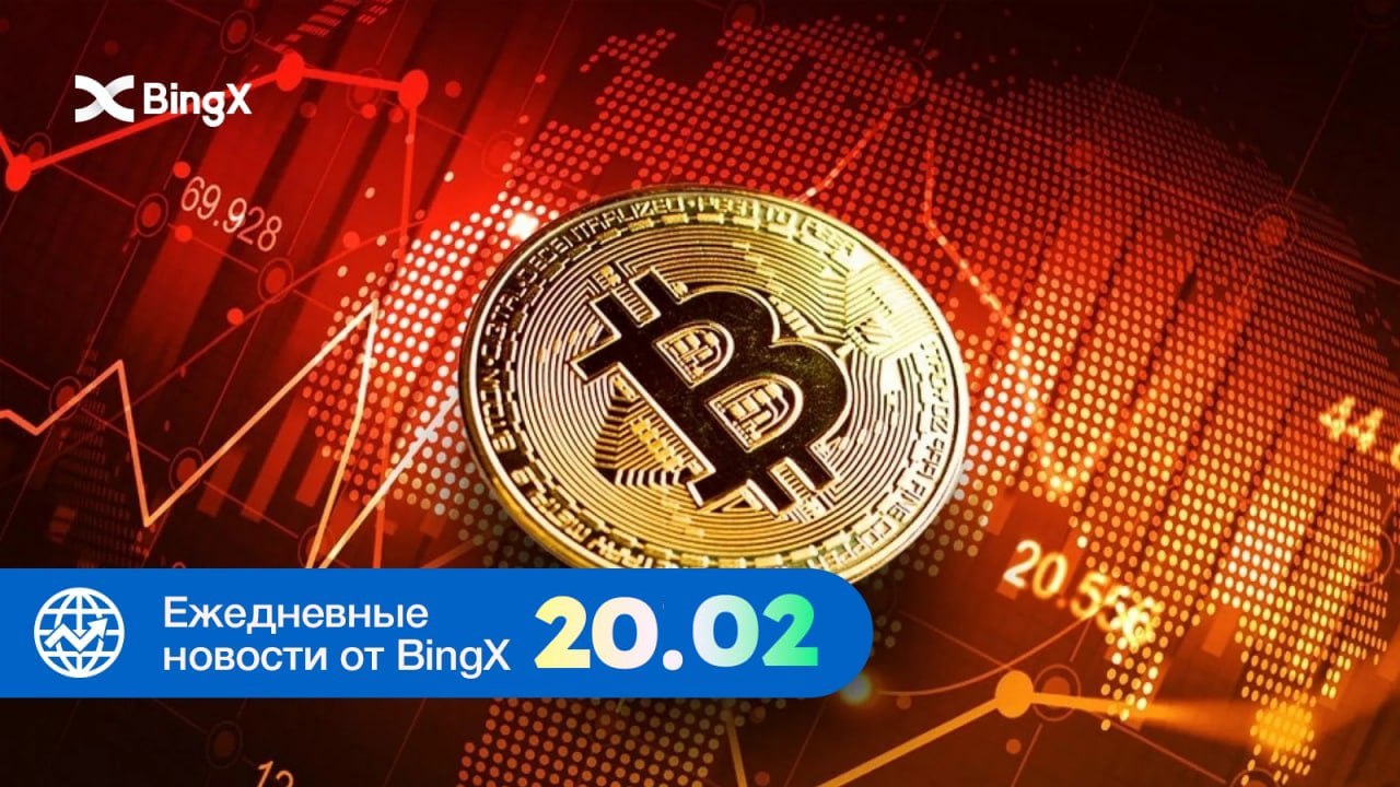 Bingx биржа отзывы