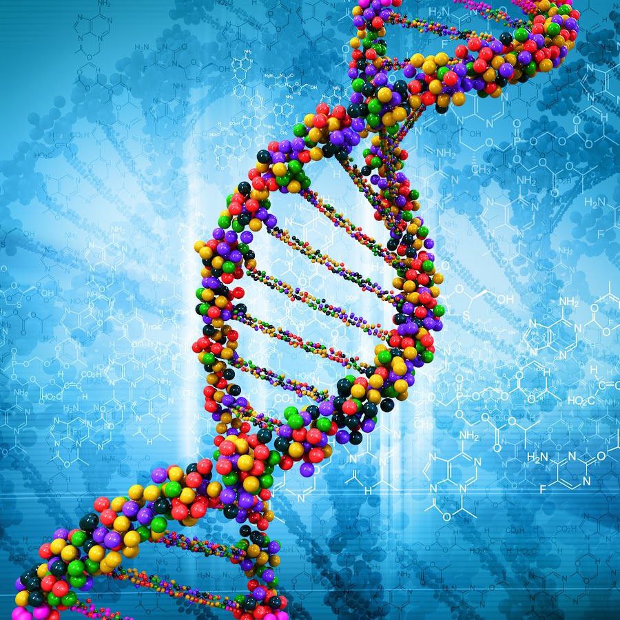 Молекула днк картинки для презентации