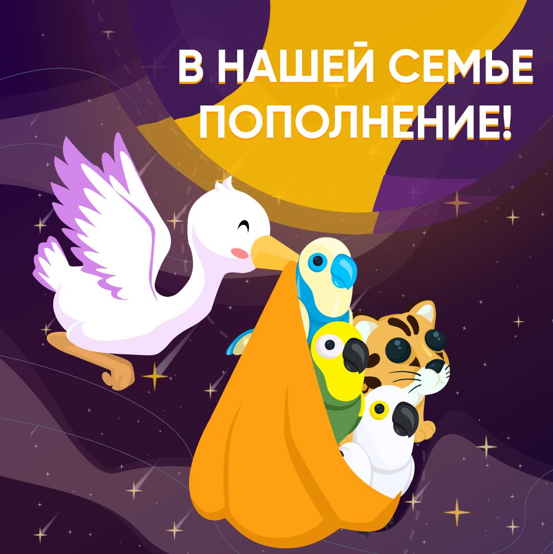 Starpets adopt me. Starpetsgg.