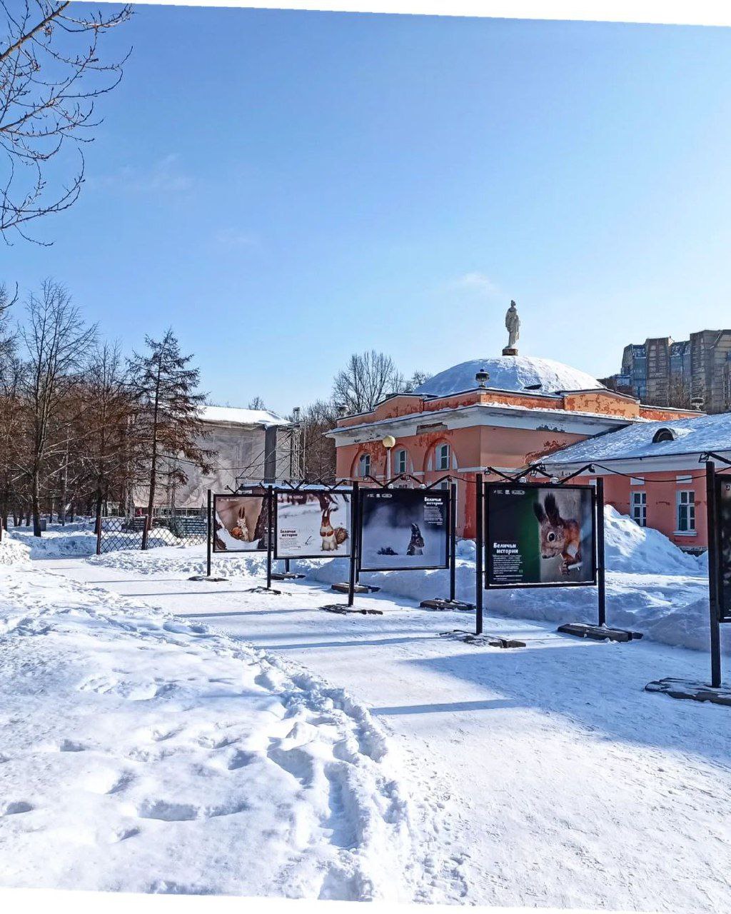 воронцовский парк москва зимой