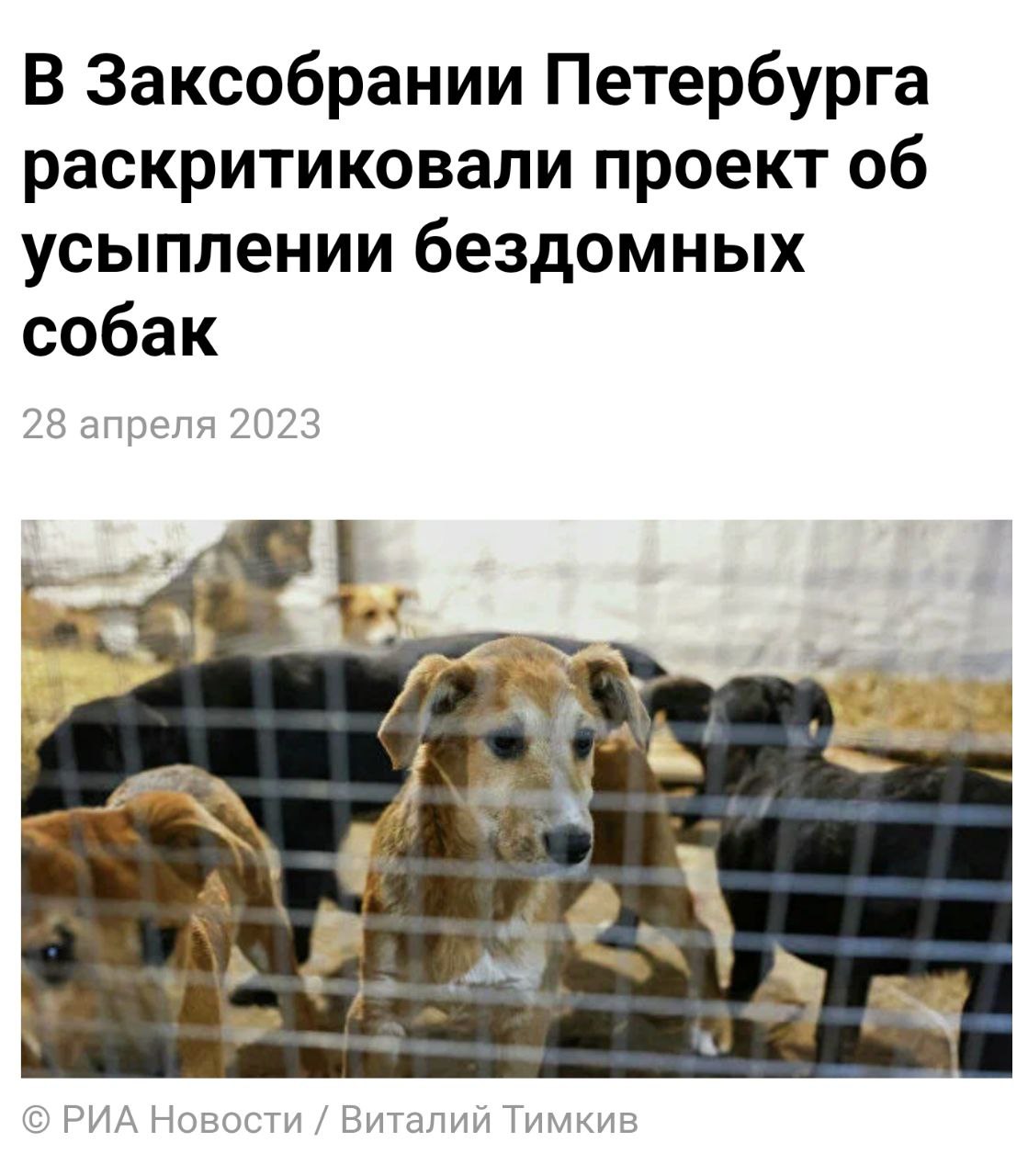 Ветеринар собаке на дом. Операция заворот кишок собаки. Травмы при уходе за животными. Усыпление кошки с вывозом на кремацию спб. Мы против эвтаназии бездомных животных.