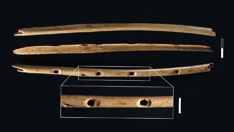 Первые музыкальные инструменты в истории. Костяная флейта неандертальцев. Флейта древний музыкальный инструмент. Флейта самый древний музыкальный инструмент. Свирель это древний музыкальный инструмент.