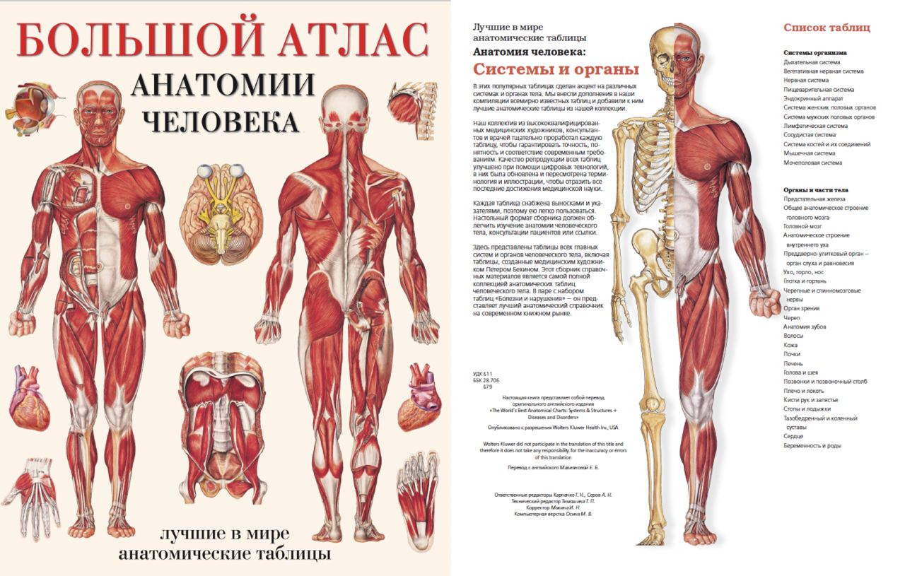 Электронный атлас анатомии. Анатомический атлас. Большой атлас анатомии. Атлас по анатомии. Большой атлас по анатомии.