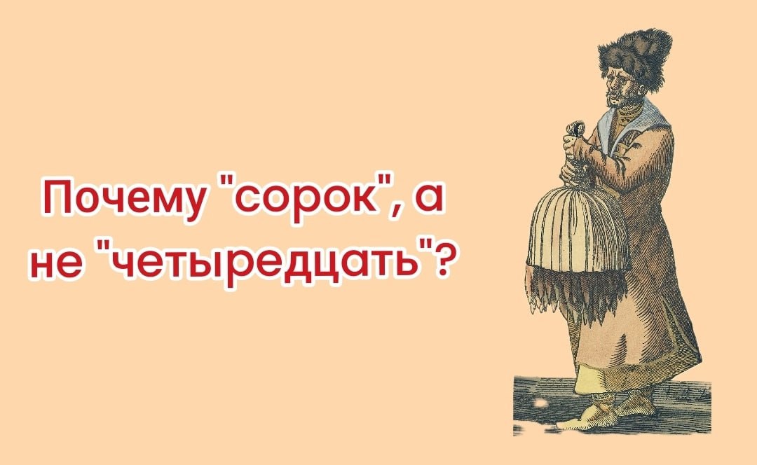 Почему сорок