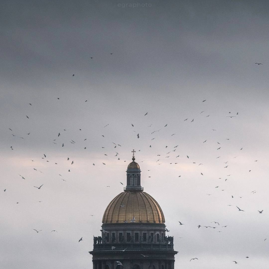 Петербург Исаакий купол