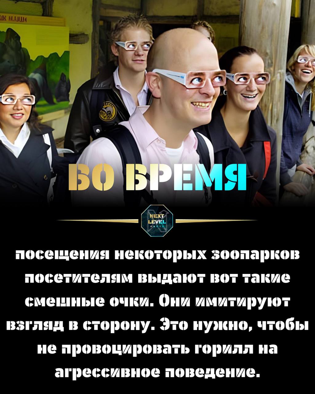 Посетители некоторых. Посетители некоторых