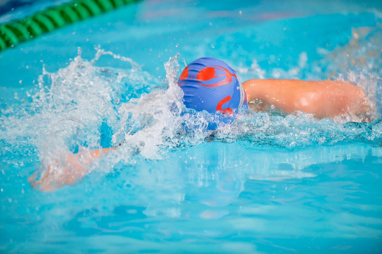 Свим ру. Свимкап. SWIMCUP Крылатское. Swim Cup.