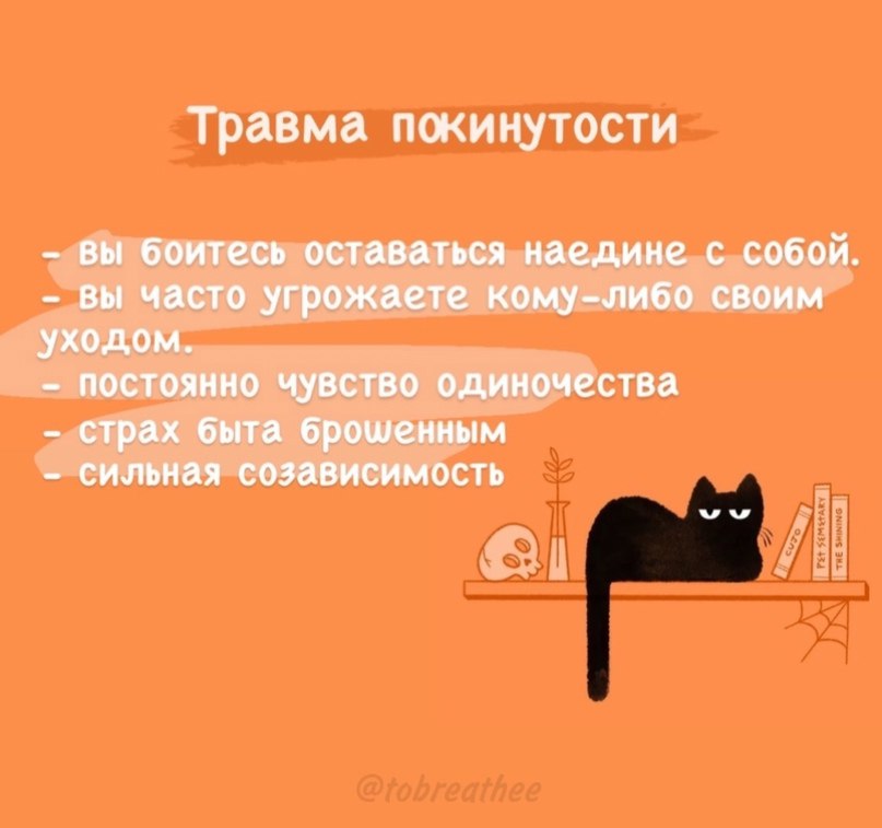 Кот фикбука. Фикбук. Фикбук котик. Как-будто как пишется.