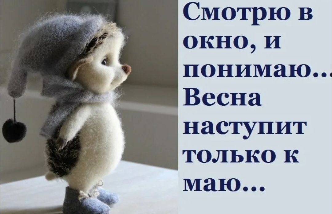 Ау картинки смешные с надписью прикольные