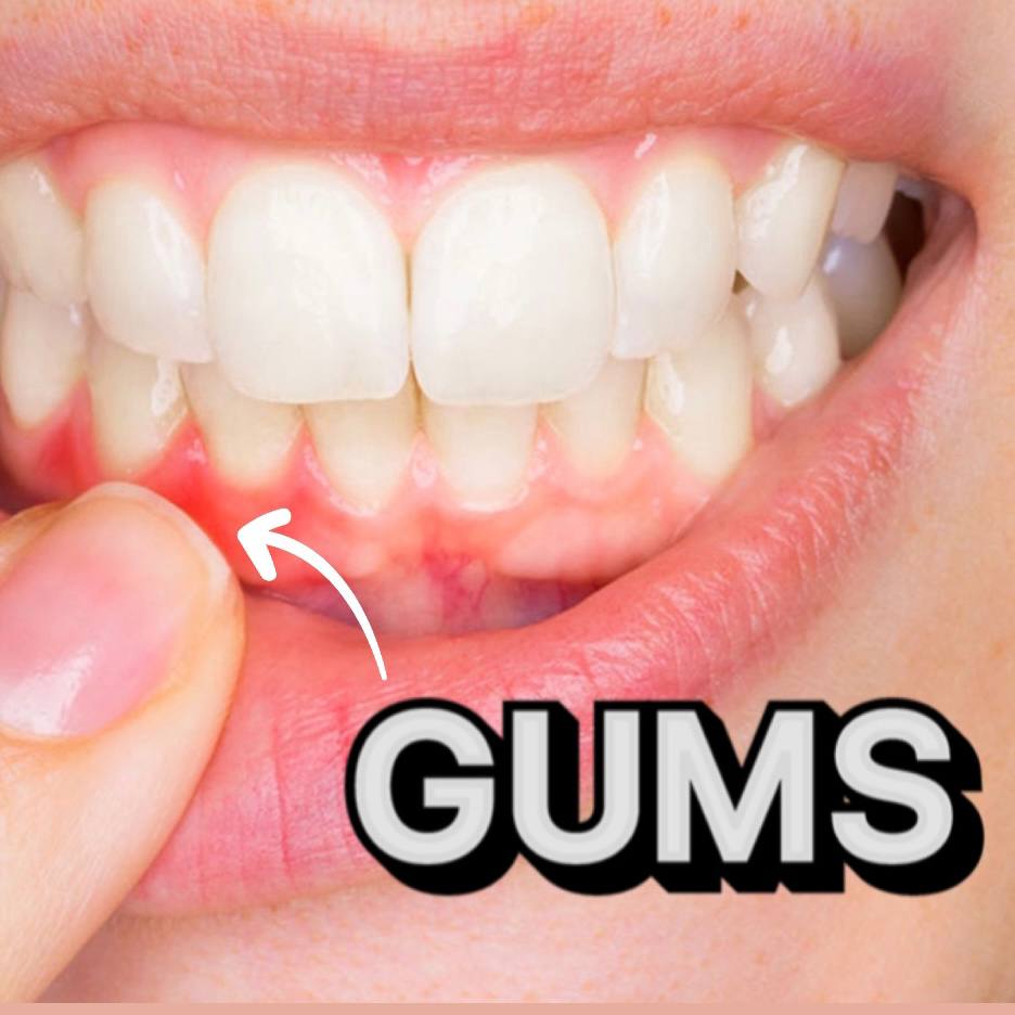 Gums Motors