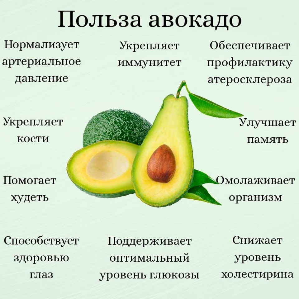 О пользе <b>Авокадо</b> 🥑. 