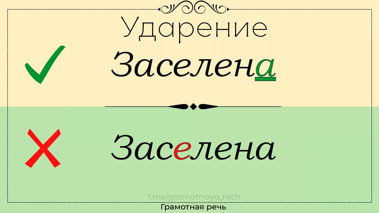 Заселенный заселена ударение