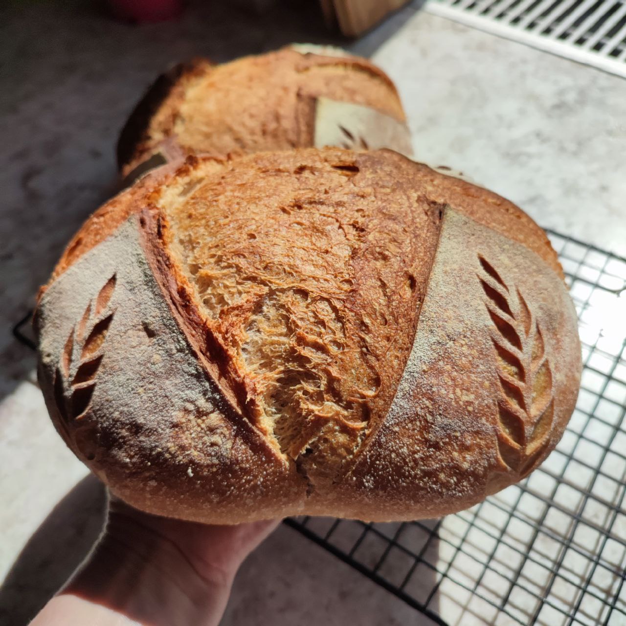 Публикация #699 — Светлана Кучерявая #МойХлеб (@kucheryavaya_sveta)